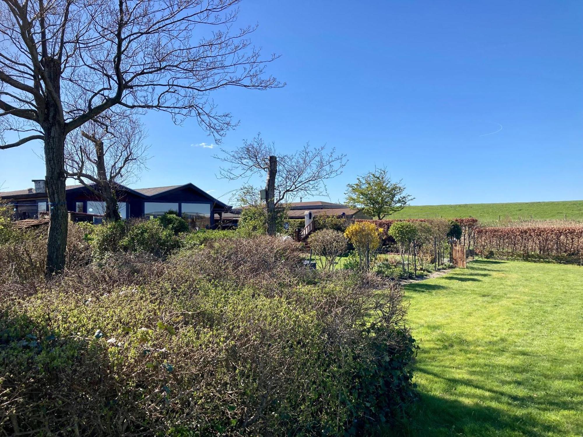 House Marijke With Winter Garden And Direct Access To The Lauwersmeer Anjum Zewnętrze zdjęcie