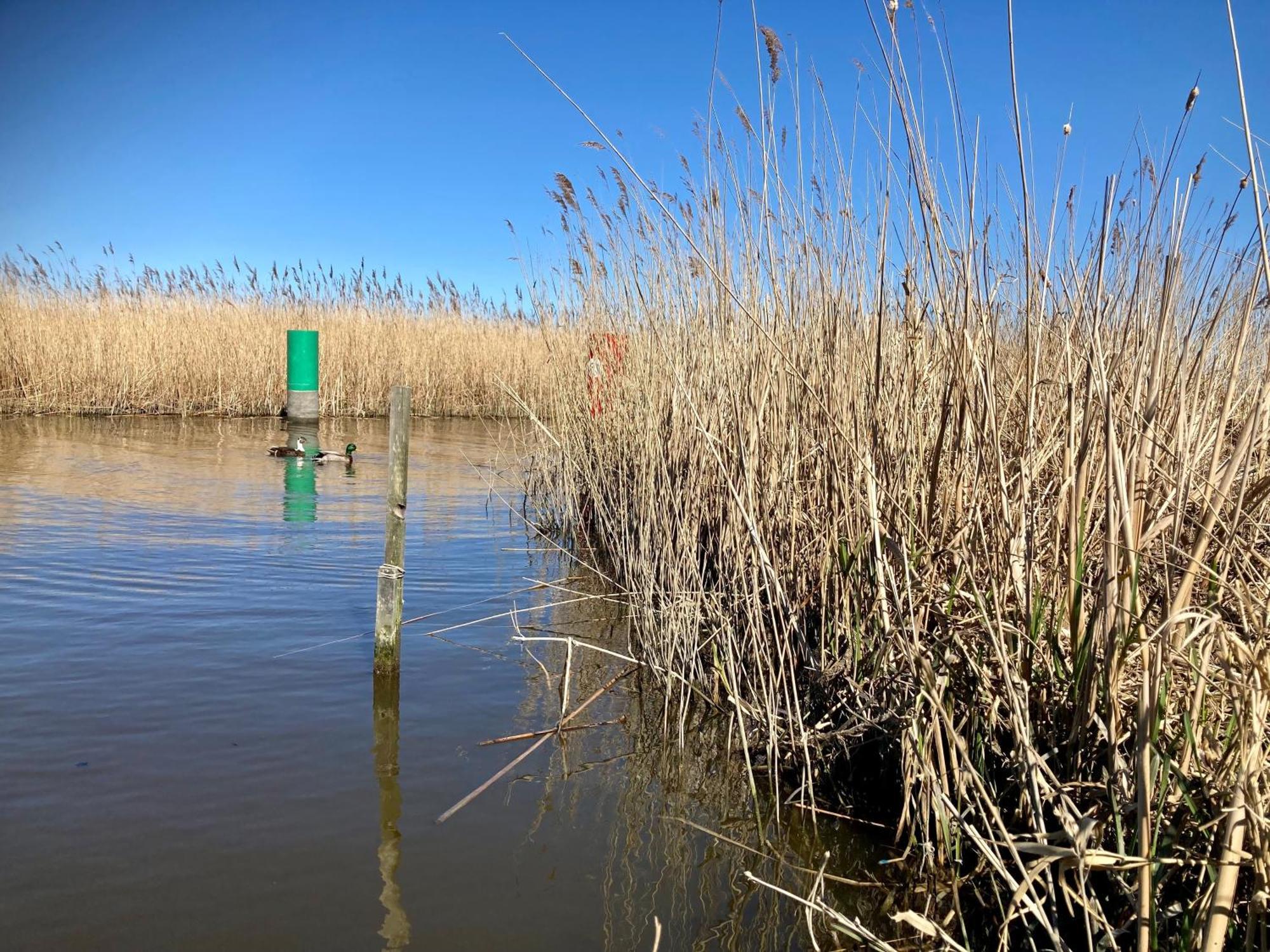 House Marijke With Winter Garden And Direct Access To The Lauwersmeer Anjum Zewnętrze zdjęcie